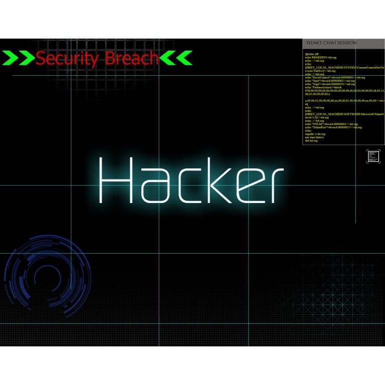 Piratas y hackers, protagonistas de delitos informáticos en los últimos meses
